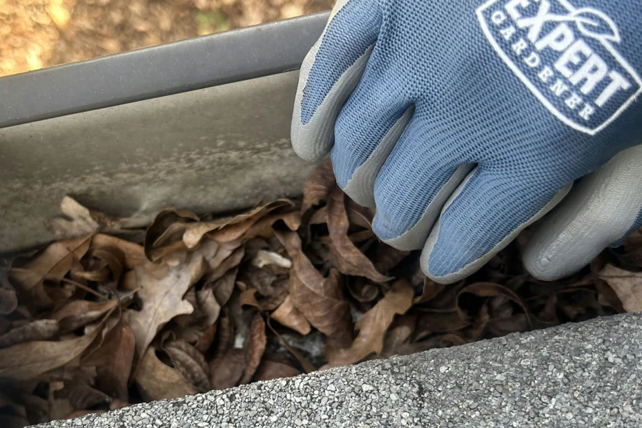 Gutter Cleaning Elgin