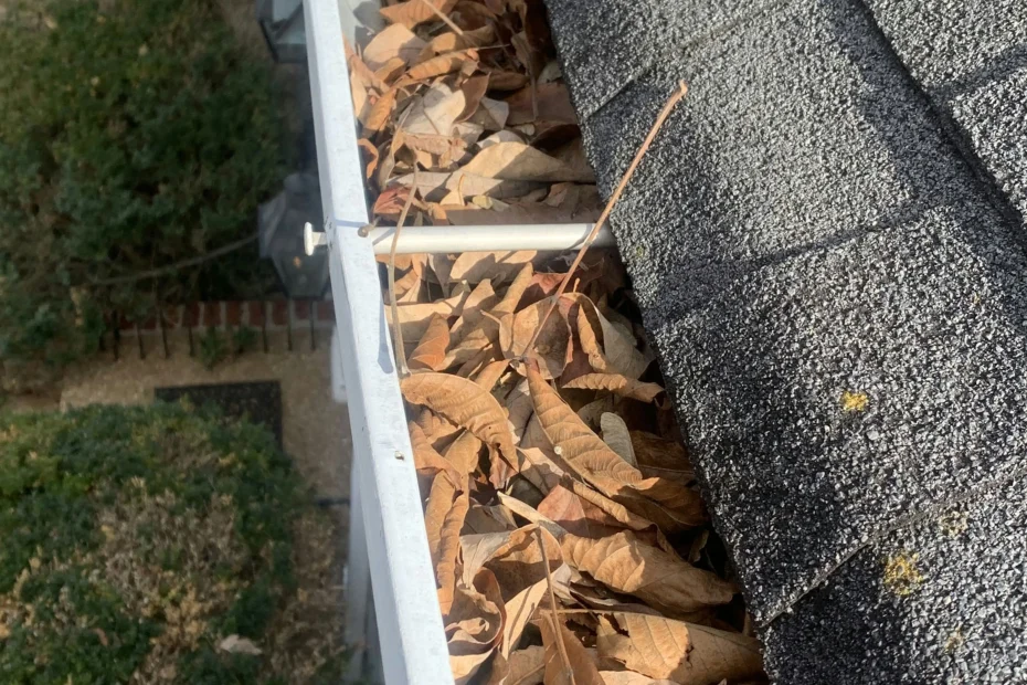 Gutter Cleaning Elgin