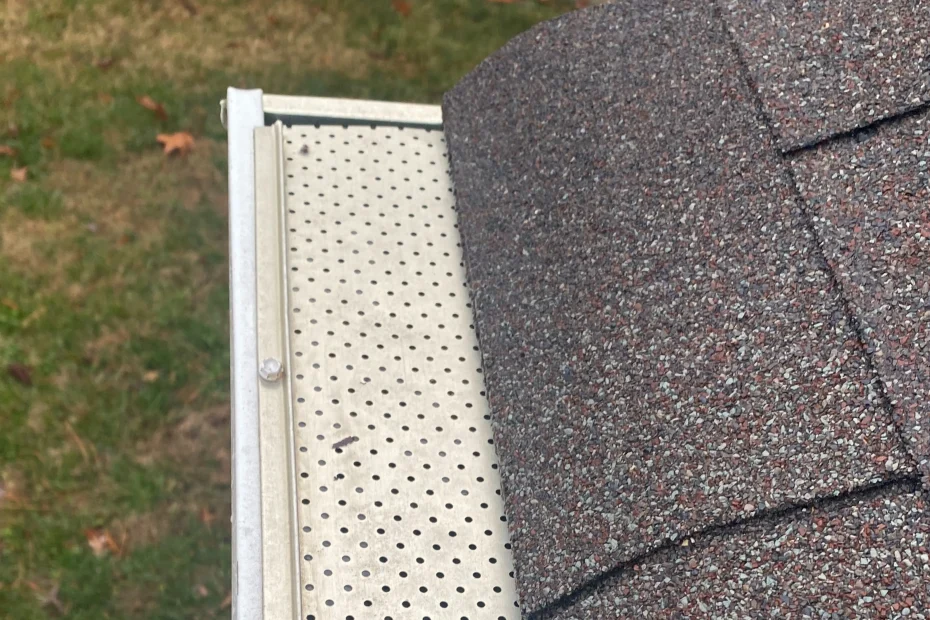 Gutter Cleaning Elgin