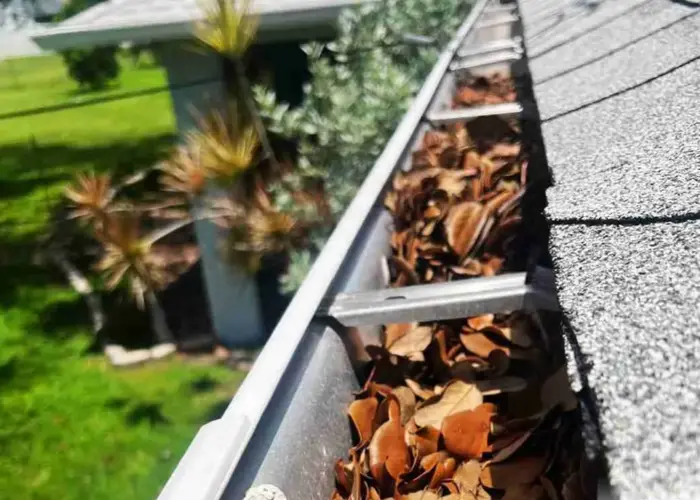 Gutter Cleaning Elgin home page